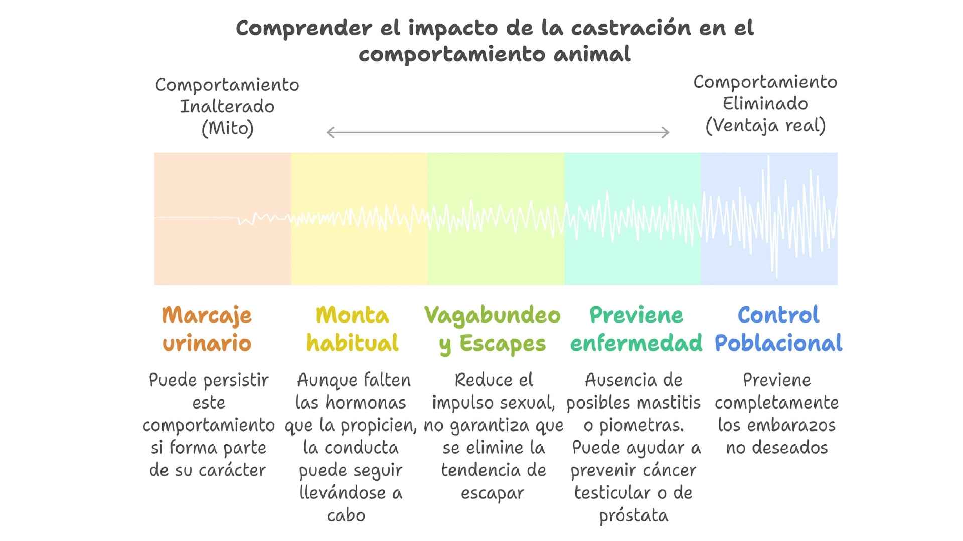esquema impacto comportamiento
